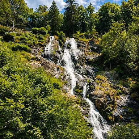 Διαμέρισμα Aktivurlaub Im Schwarzwald Sport Und Erholung Efringen-Kirchen